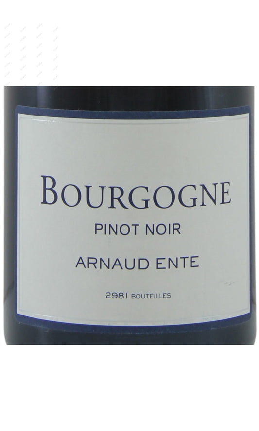 Arnaud Ente, Bourgogne, Pinot Noir