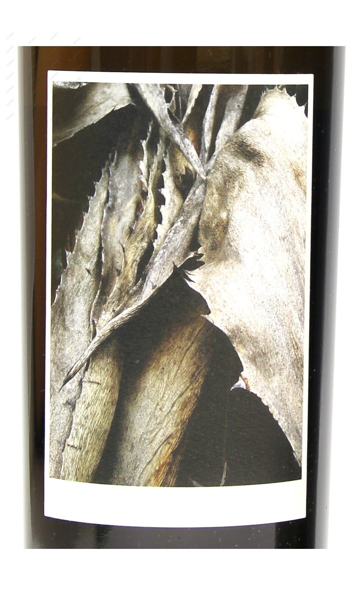 SQRSS-A2013-W Sine Qua Non, Resiste 辛寬隆 衛思 750ml