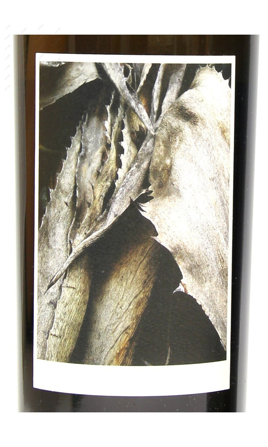 Sine Qua Non, Resiste