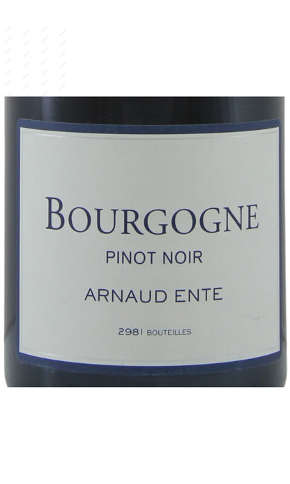 Arnaud Ente, Bourgogne, Pinot Noir